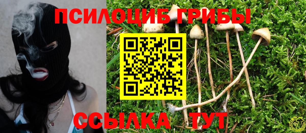 Псилоцибиновые грибы Magic Shrooms  Вход с VPN  Галлюциногенные грибы Psilocybe  Ивантеевка 