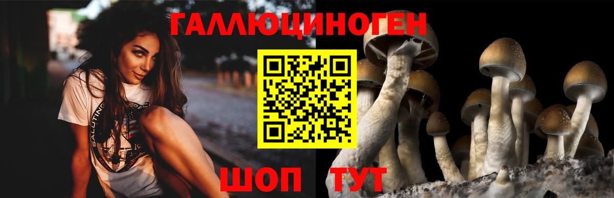 Галлюциногенные грибы Magic Shrooms Ивантеевка